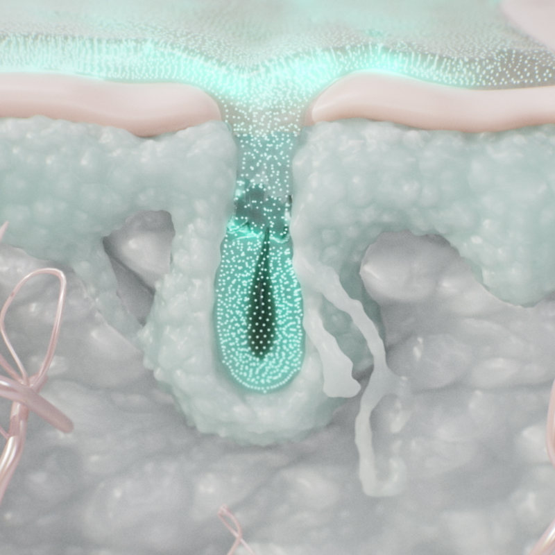 Cross-section of skin: bright turquoise particles penetrate from the surface into a hair follicle