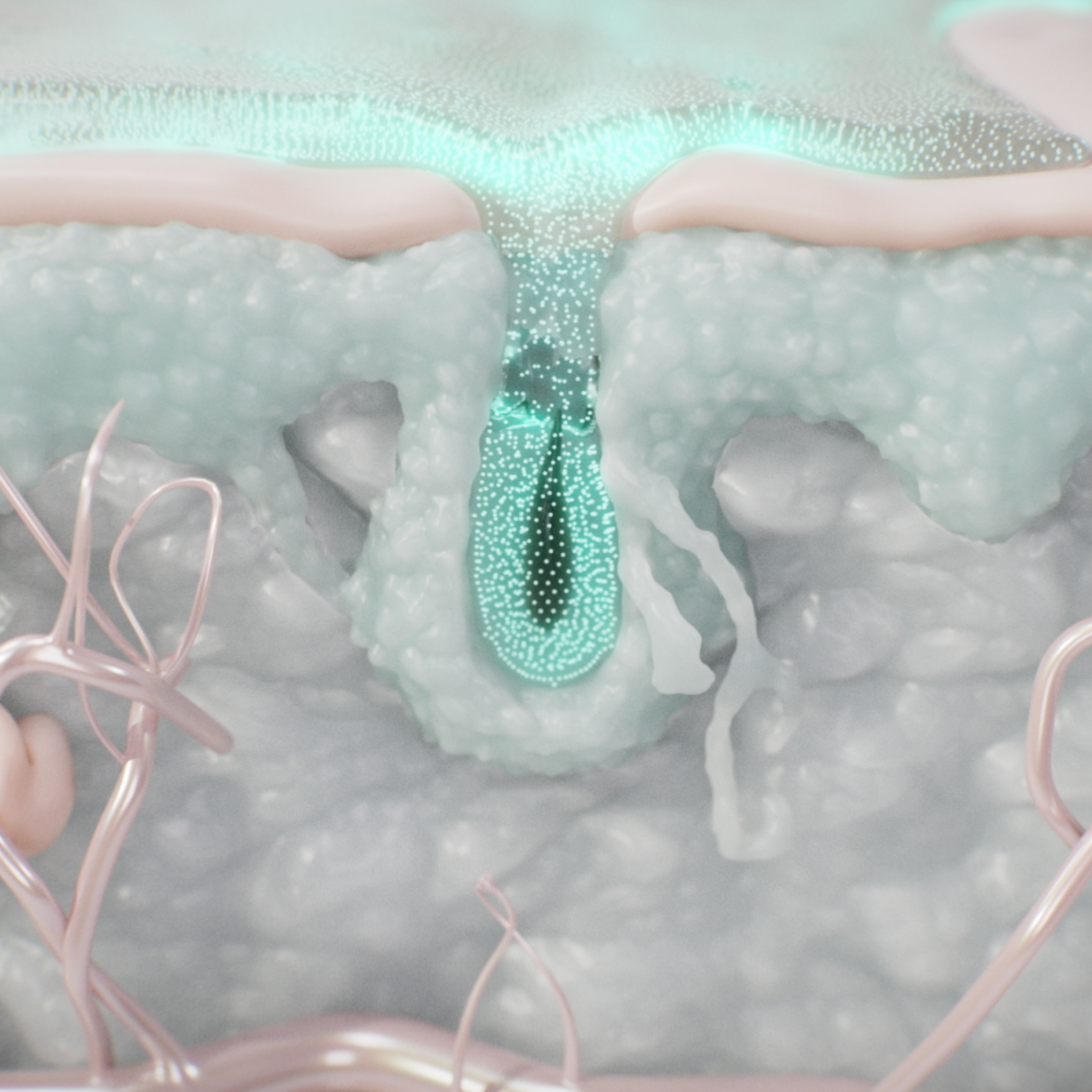 Cross-section of skin with glowing hair follicle – illustrates how the serum works